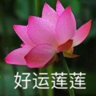 打击网络侵权盗版 四部门启动“剑网2026”专项行动